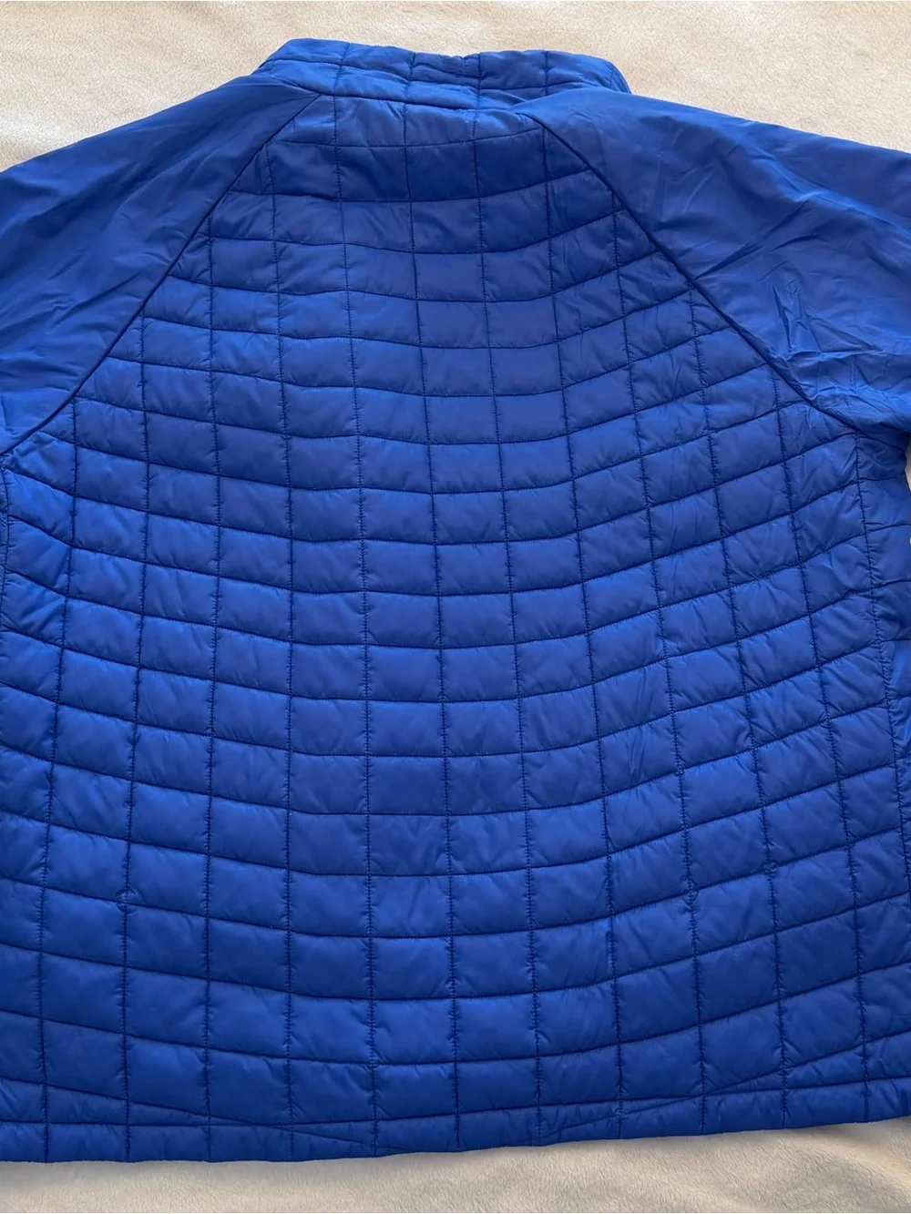 The North Face Men’s Deep Blue Hooded Raincoat with Liner